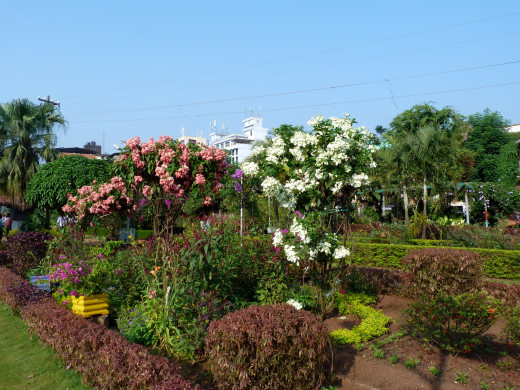 660544 (a): :2560x1920